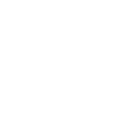 Google+